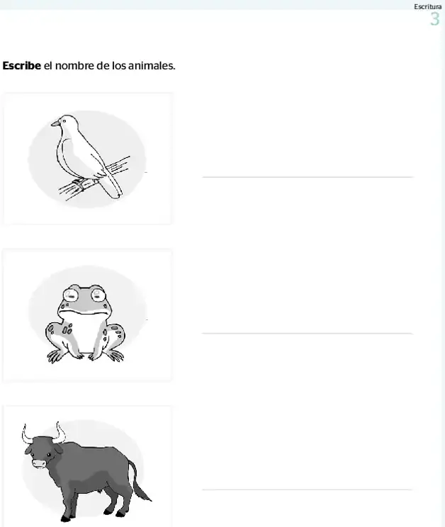 Página 3 de la vista previa de Prueba diagnóstica de Escritura 1.º grado – Conozcamos nuestros aprendizajes