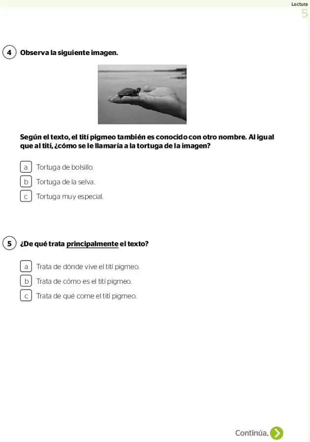 Página 2 de la vista previa de Prueba diagnóstica de Lectura 3.º grado – Conozcamos nuestros aprendizajes