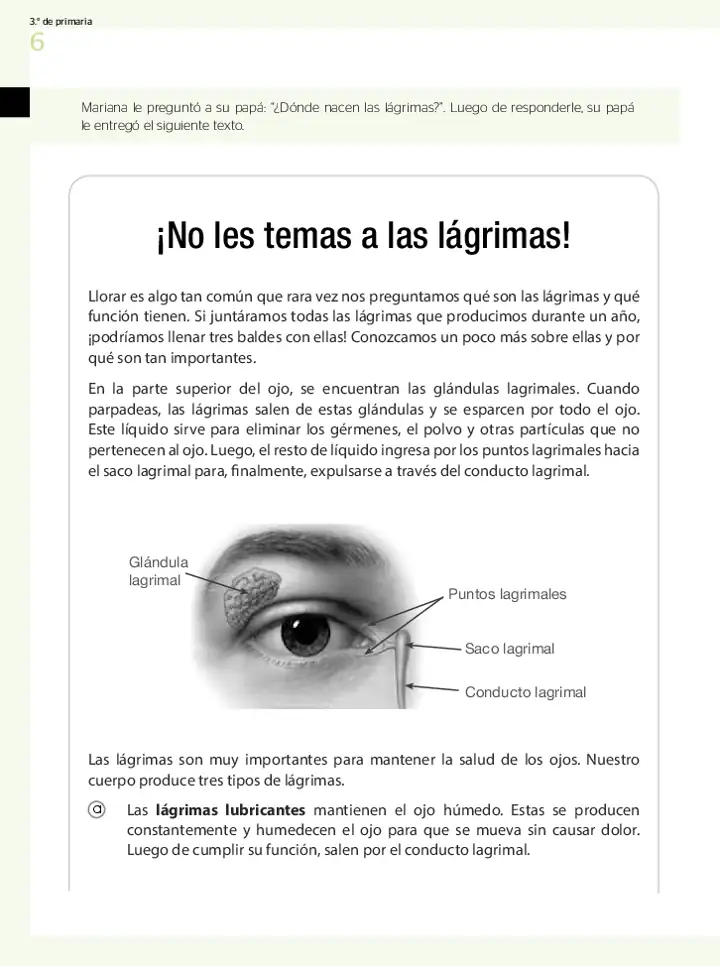 Página 3 de la vista previa de Prueba diagnóstica de Lectura 3.º grado – Conozcamos nuestros aprendizajes