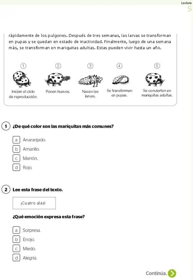 Página 2 de la vista previa de Prueba diagnóstica de Lectura 5.º grado – Conozcamos nuestros aprendizajes