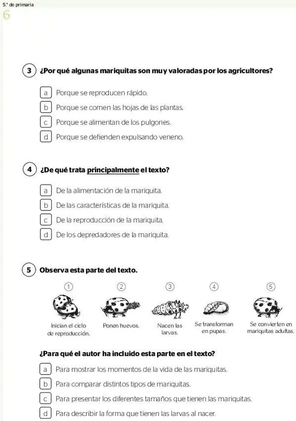 Página 3 de la vista previa de Prueba diagnóstica de Lectura 5.º grado – Conozcamos nuestros aprendizajes