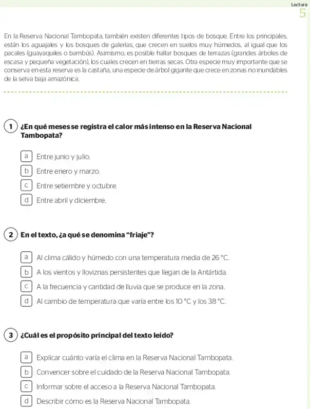 Página 2 de la vista previa de Prueba diagnóstica de Lectura 1.º grado – Conozcamos nuestros aprendizajes