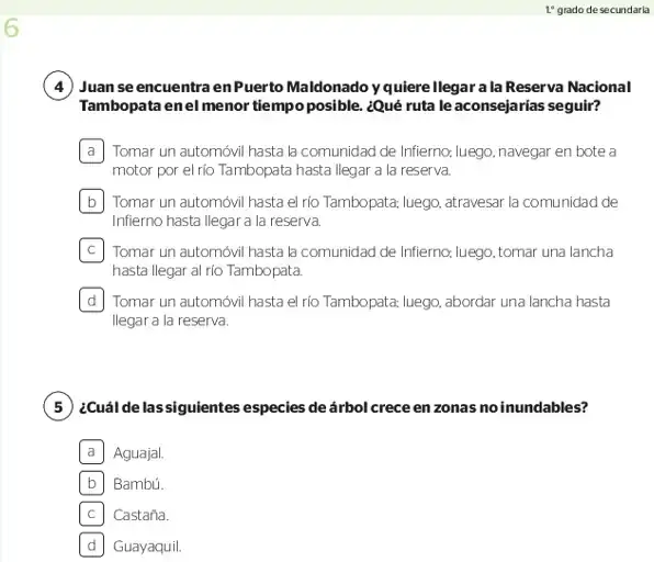 Página 3 de la vista previa de Prueba diagnóstica de Lectura 1.º grado – Conozcamos nuestros aprendizajes