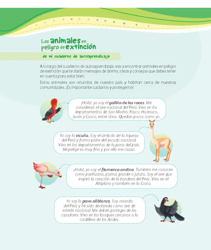 Página 3 de la vista previa de Ciencia y Tecnología 1: Cuaderno de autoaprendizaje